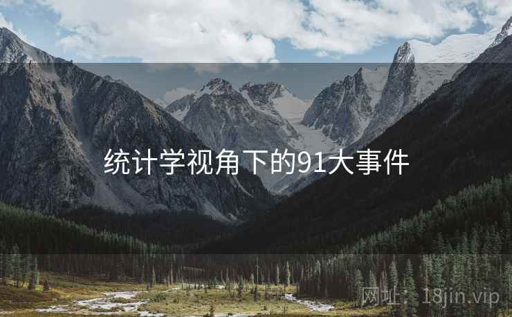 统计学视角下的91大事件