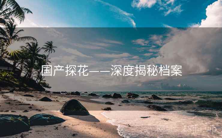 国产探花——深度揭秘档案