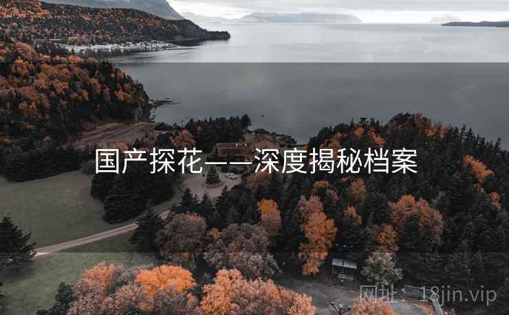 国产探花——深度揭秘档案