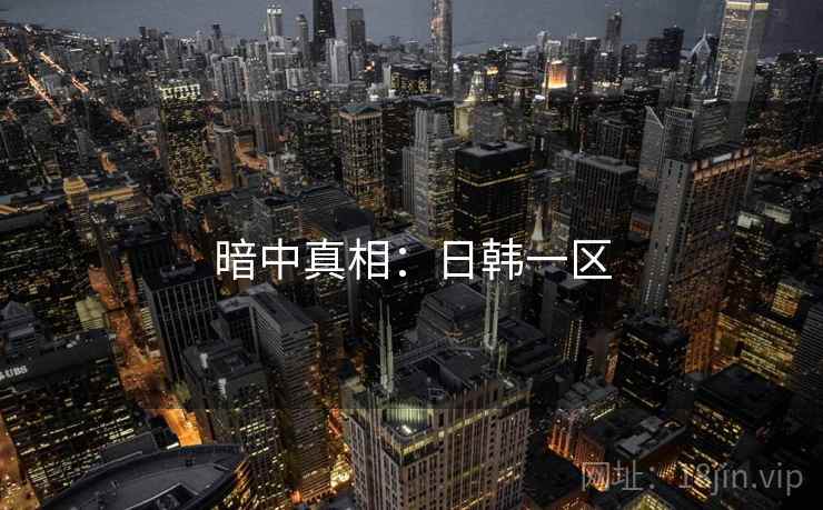 暗中真相：日韩一区