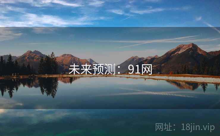未来预测：91网
