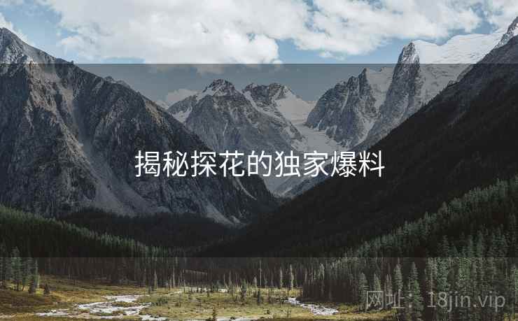 揭秘探花的独家爆料
