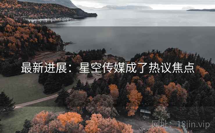 最新进展：星空传媒成了热议焦点
