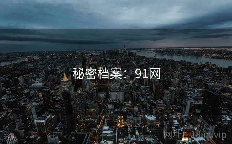 秘密档案：91网