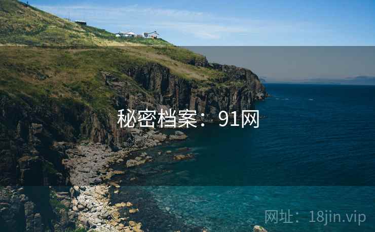 秘密档案：91网