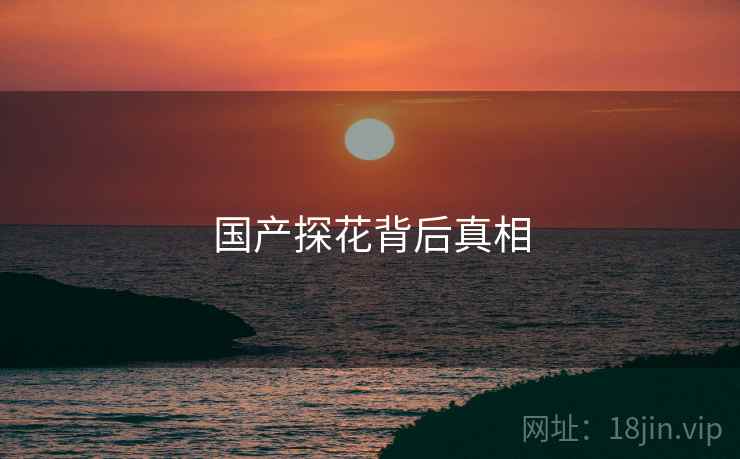 国产探花背后真相