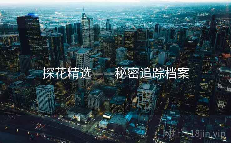 探花精选——秘密追踪档案