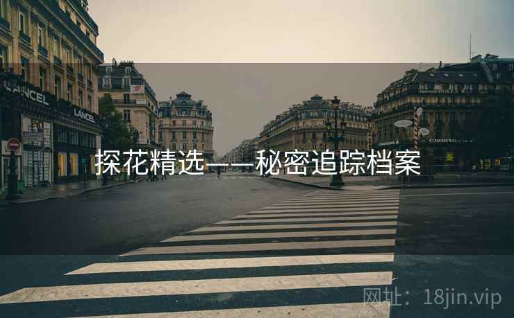 探花精选——秘密追踪档案