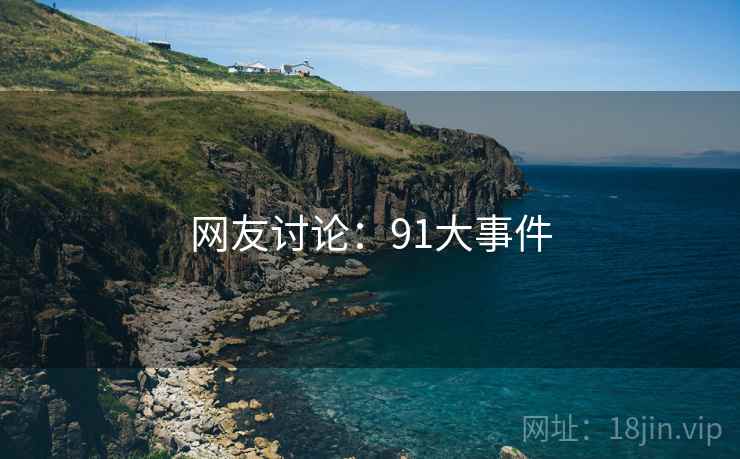 网友讨论：91大事件