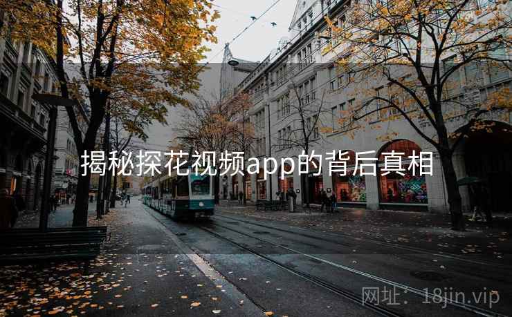 揭秘探花视频app的背后真相