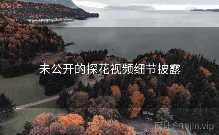 未公开的探花视频细节披露