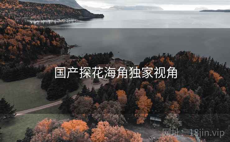 国产探花海角独家视角