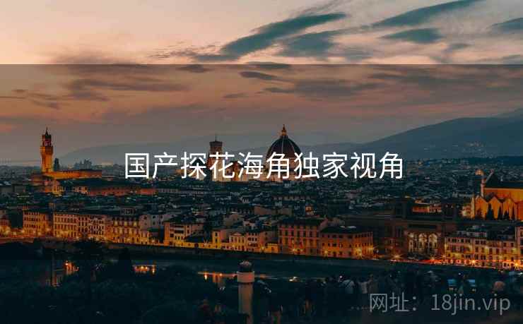 国产探花海角独家视角