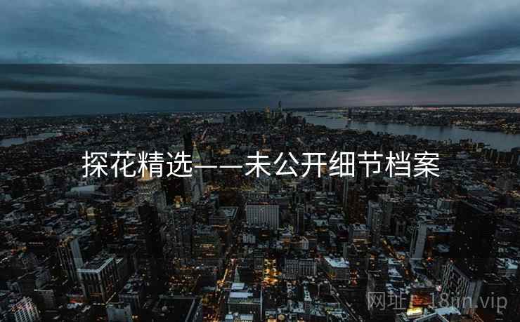 探花精选——未公开细节档案