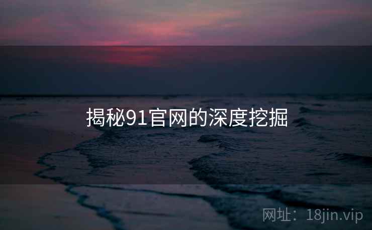 揭秘91官网的深度挖掘