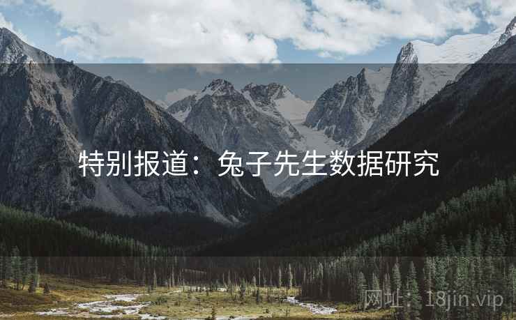 特别报道:兔子先生数据研究 特别报道:兔子先生数据研究