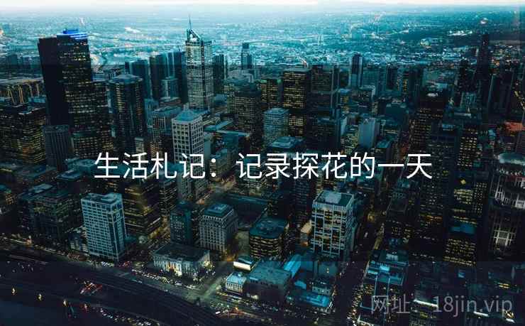 生活札记:记录探花的一天 生活札记:记录探花的一天