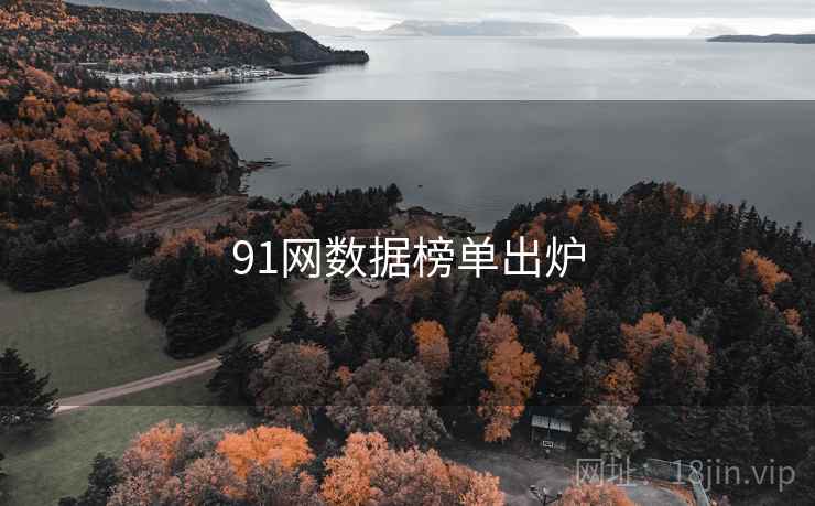 91网数据榜单出炉