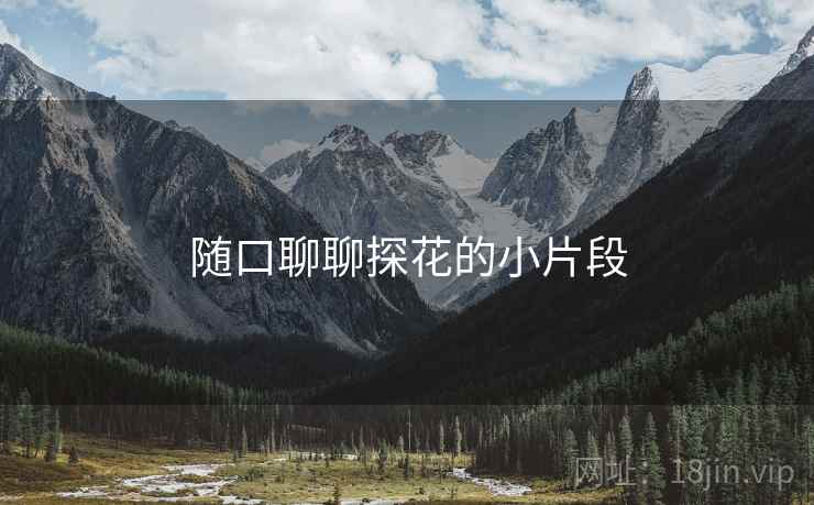 随口聊聊探花的小片段 随口聊聊探花的小片段