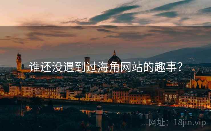 谁还没遇到过海角网站的趣事?