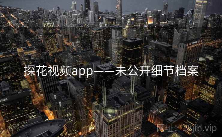 探花视频app——未公开细节档案