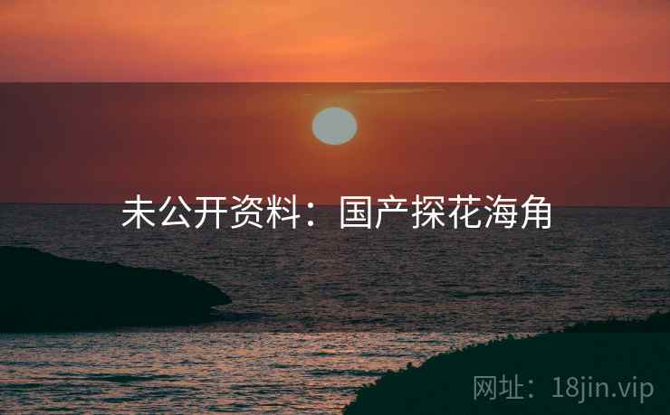 未公开资料:国产探花海角