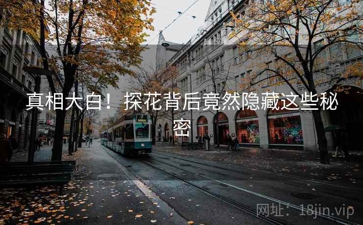 真相大白!探花背后竟然隐藏这些秘密
