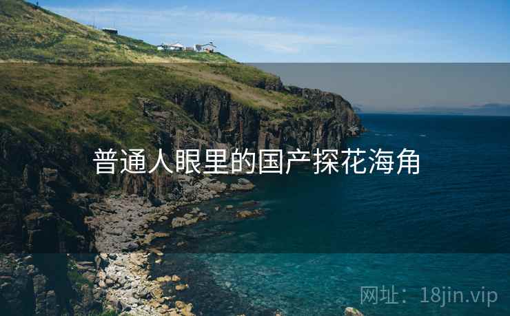 普通人眼里的国产探花海角 普通人眼里的国产探花海角